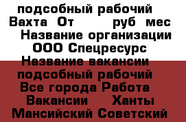 подсобный рабочий . Вахта. От 30 000 руб./мес. › Название организации ­ ООО Спецресурс › Название вакансии ­ подсобный рабочий - Все города Работа » Вакансии   . Ханты-Мансийский,Советский г.